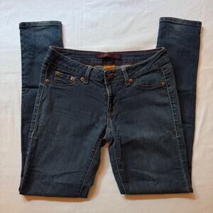 Y2K Domaine Low Rise Straight Leg Jeans Womens 3 Vintage 90s Dark Wash Grunge